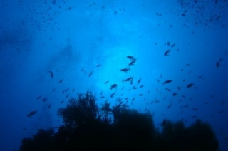  Exploración submarina 